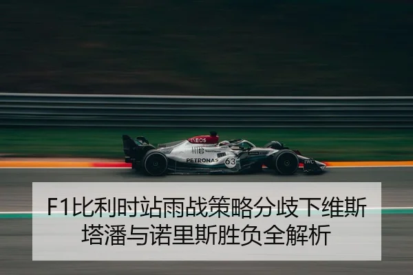 F1比利时站雨战策略分歧下维斯塔潘与诺里斯胜负全解析